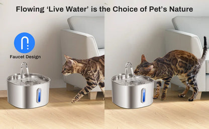 Drinkpaw Automatic Pet Water Fountain – Fresh Clean Water 24/7 | Silent & Long-Lasting